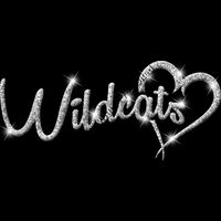 GLT6 SILVER GLITTER Thumbnail