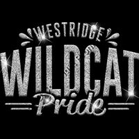 GLT62 SILVER GLITTER Thumbnail