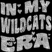 GLT93 SILVER GLITTER Thumbnail