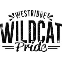 GLT62 BLACK GLITTER Thumbnail